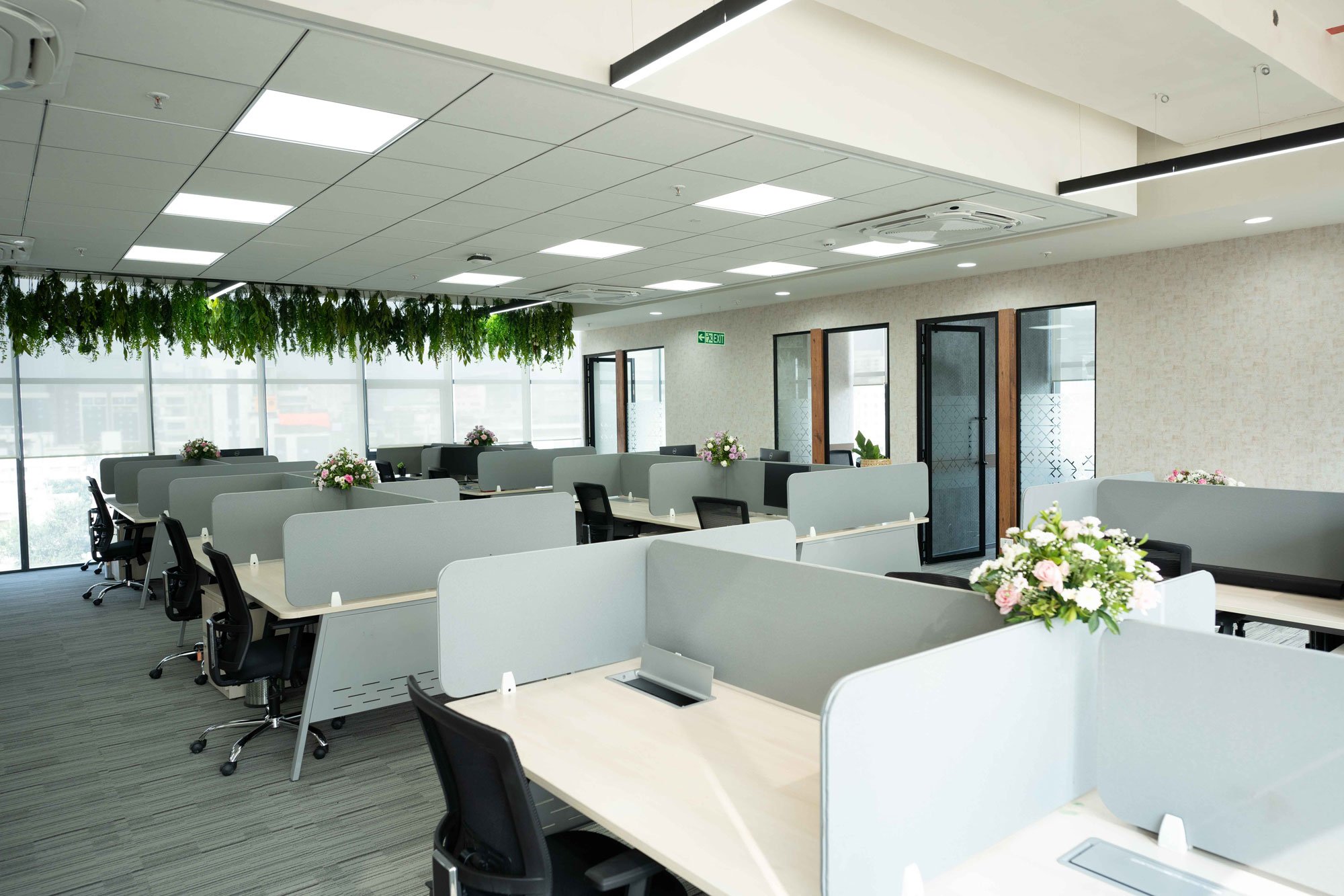 A focused work environment with desks and natural decoration.