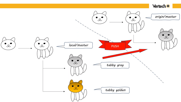 git push command example using tabby cats