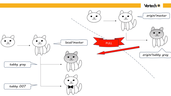 git pull command example using tabby cats
