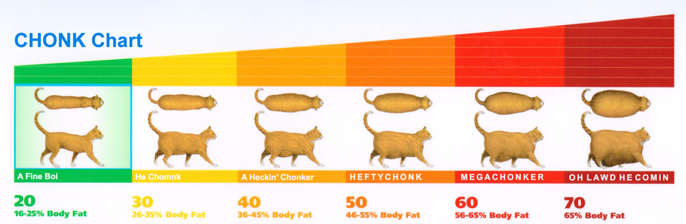 chonk chart 2