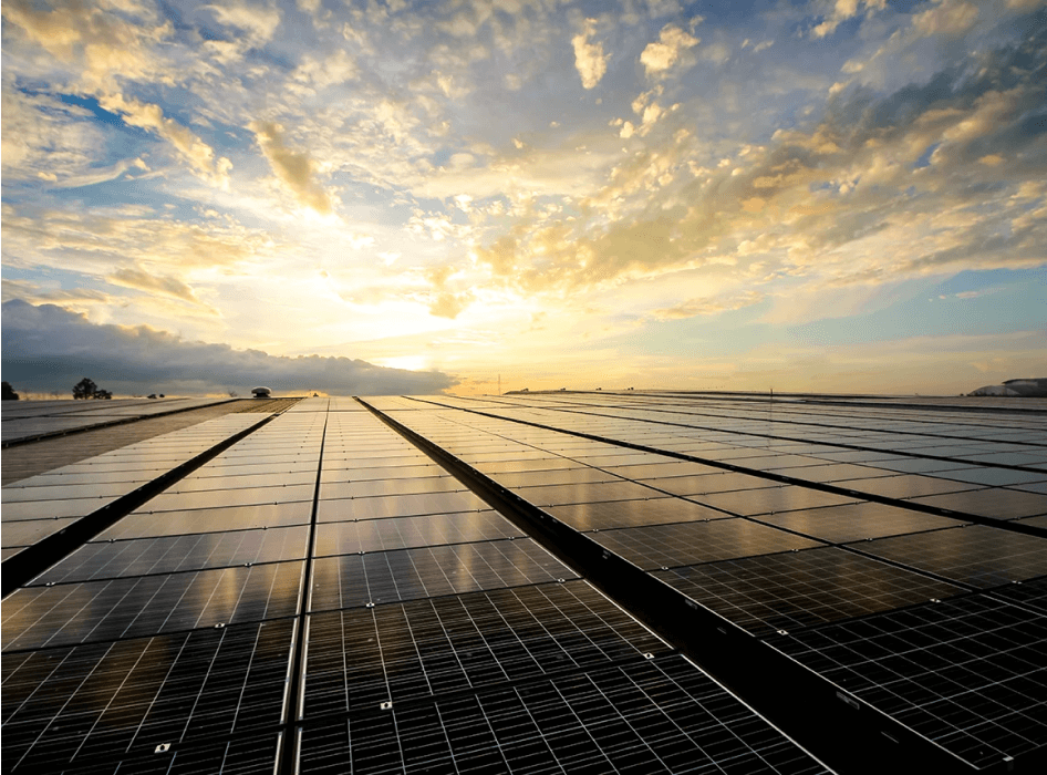 Photo of solar panels in field under a sunny sky